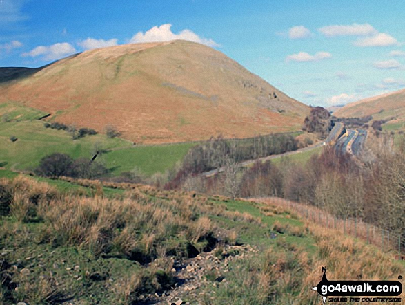 Jeffery's Mount and The M6 Motorway (right) from the lower slopes of Grayrigg Forest