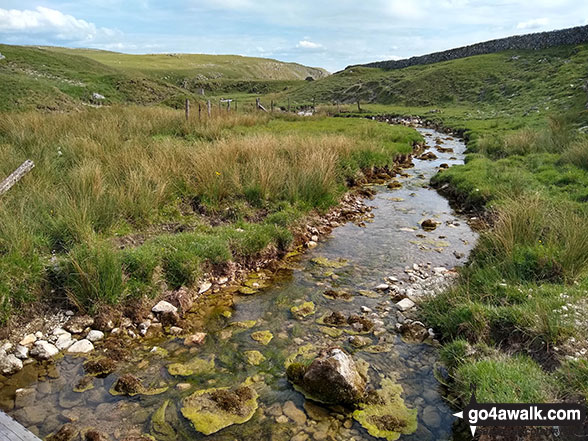 Walk ny159 Gordale Scar and Malham Cove from Malham - Gordale Beck near Street Gate