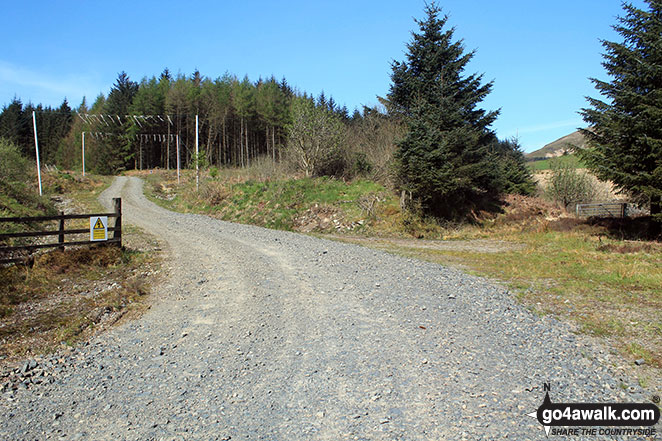 Walk dg108 Moorbrock Hill and Windy Standard from Craigengillan - The track heading up to Moorbrock Farm