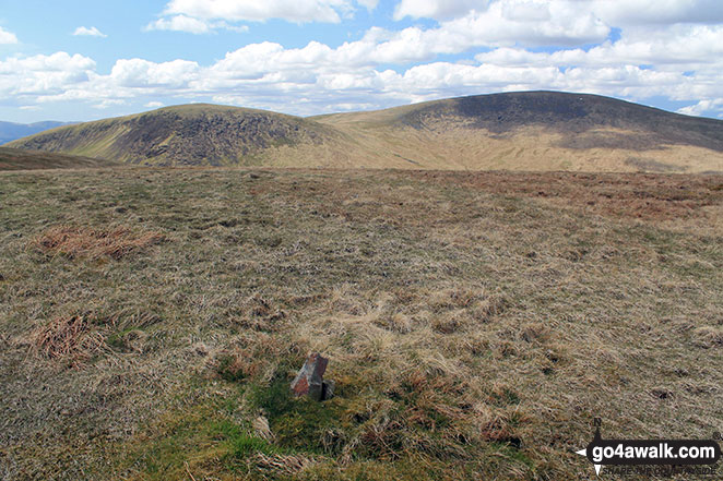 Moorbrock Hill summit with Keoch Rig (left) and Windy Standard (right) in the background