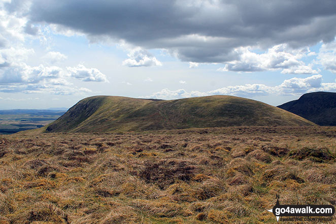 Walk dg108 Moorbrock Hill and Windy Standard from Craigengillan - Moorbrock Hill (left) and Moorbrock Hill (North Top) from Keoch Rig