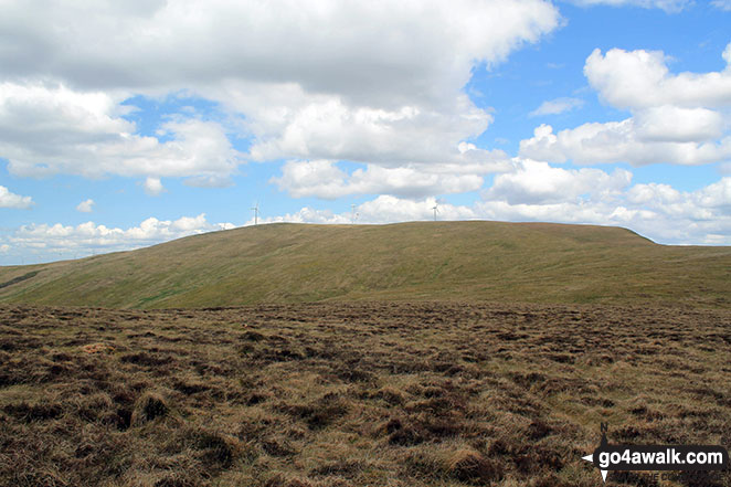 Walk dg108 Moorbrock Hill and Windy Standard from Craigengillan - Windy Standard from Keoch Rig