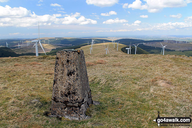 The rather battered trig point on the summit of Windy Standard 