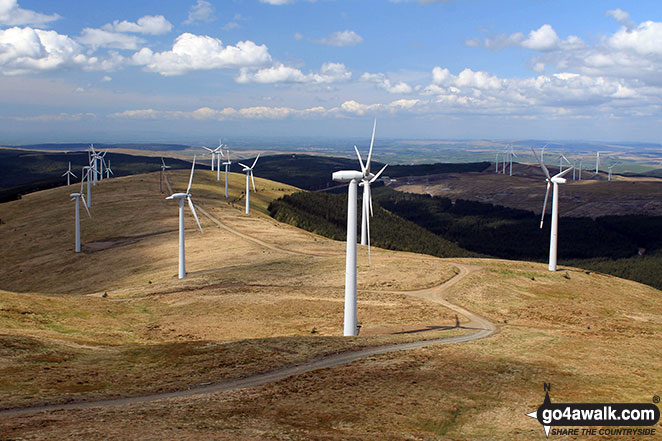 Walk dg108 Moorbrock Hill and Windy Standard from Craigengillan - Windy Standard wind farm