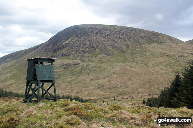 Walk dg108 Moorbrock Hill and Windy Standard from Craigengillan - Beninner from the junction near Green Hill (Moorbrock),