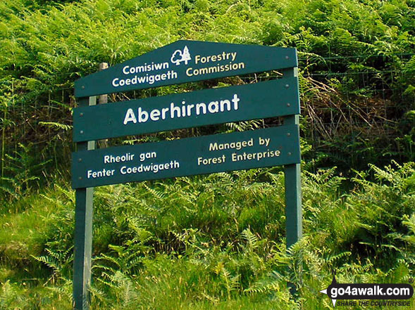 Aberhirnant Forest Parking Area on Hirnant Pass 