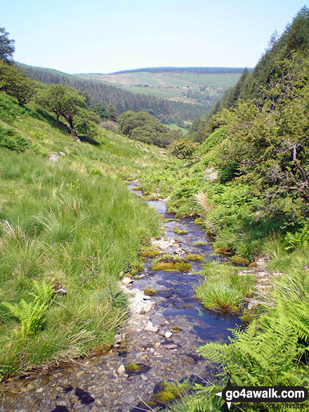 Nant Nadroedd Bach on Hirnant Pass 