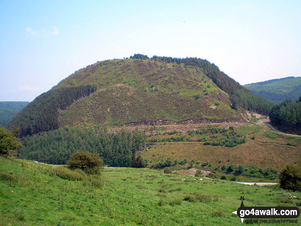 Walk gw120 The Western Berwyns from Hirnant Pass - Foel y Ddinas from Hirnant Pass