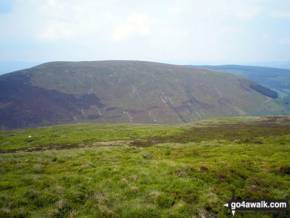 Walk gw120 The Western Berwyns from Hirnant Pass - Trum y Gwrgedd and Foel Goch (Berwyns) from Pen y Cerrig Duon