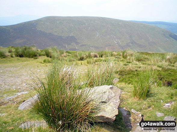 Pen y Cerrig Duon summit cairn with Trum y Gwrgedd and Foel Goch (Berwyns) in the background