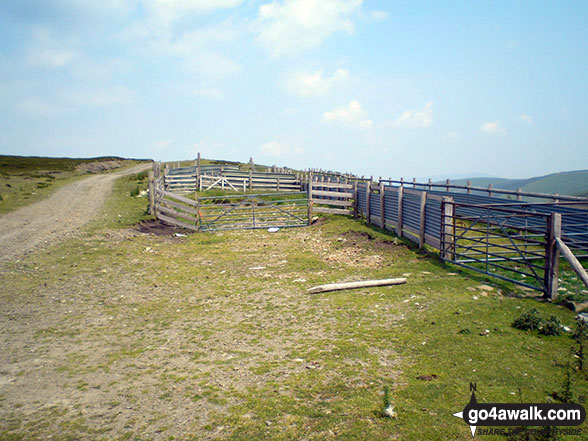 Walk gw120 The Western Berwyns from Hirnant Pass - Sheepfold on the upper slopes of Pen y Boncyn Trefeilw