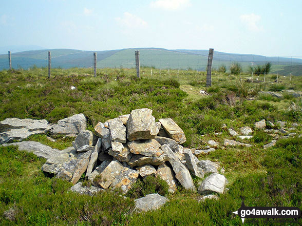 Walk gw120 The Western Berwyns from Hirnant Pass - One of two cairns on the summit of Pen y Boncyn Trefeilw