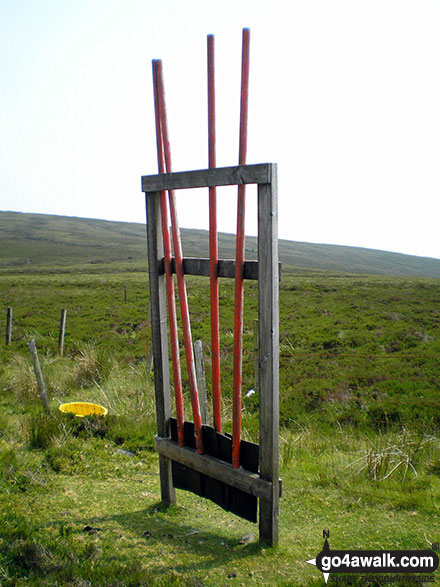 Fire brooms on Pen y Boncyn Trefeilw 