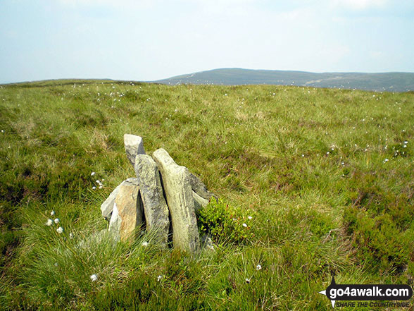 Cairn on the summit of Cefn Gwyntog 