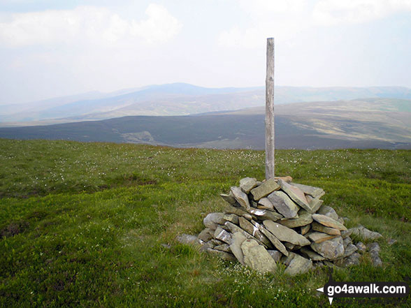 Walk gw120 The Western Berwyns from Hirnant Pass - Cairn and post on the summit of Cyrniau Nod