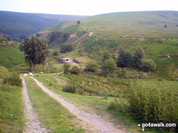 Heading down to Hirnant Pass from Ystrad-y-groes 