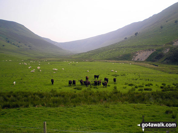 Walk gw120 The Western Berwyns from Hirnant Pass - Hirnant Pass