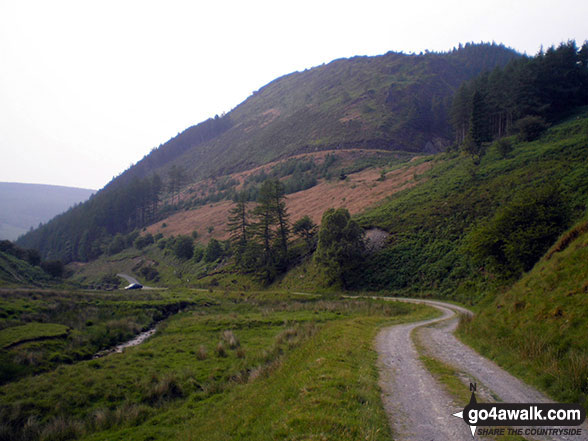 Foel y Ddinas from Hirnant Pass 