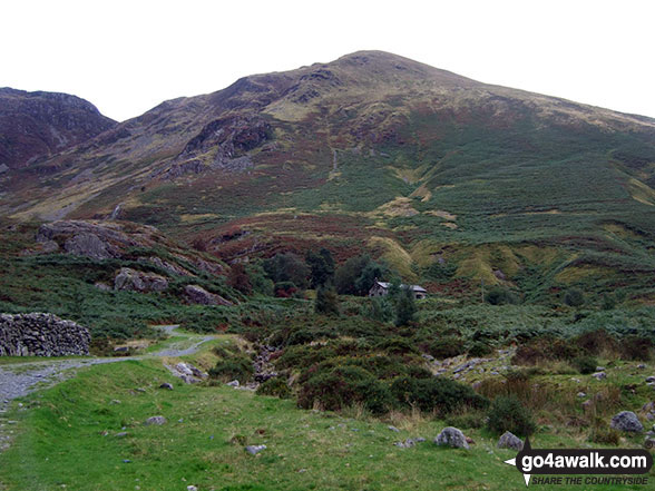 Walk gw120 The Western Berwyns from Hirnant Pass - Gwaun y Llwyni from the head of Cwm Cywarch