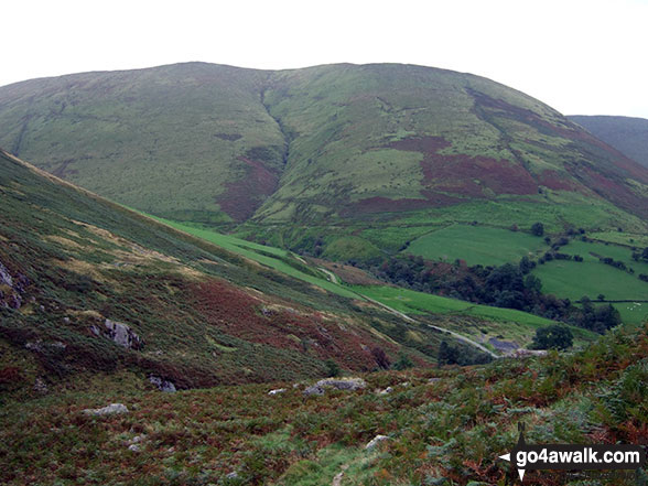 Pen yr Allt Uchaf from the head of Cwm Cywarch