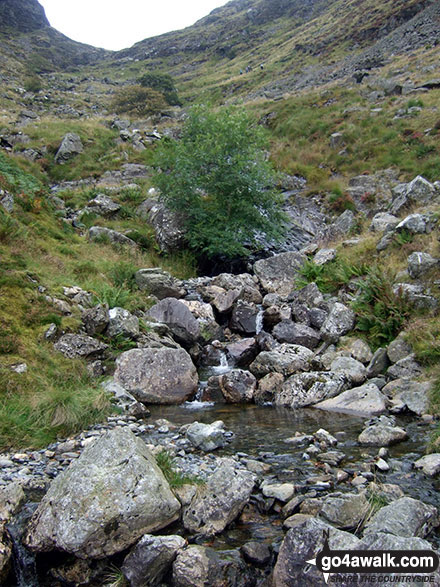 Following this unnamed stream up to the bwlch between Glasgwm and Gwaun y Llwyni 