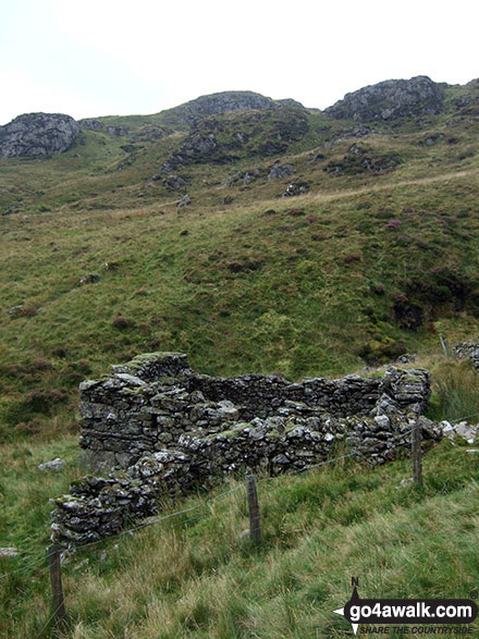 Ruin close to Waun Camddwr