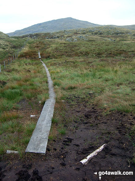 Walk gw185 Gwaun y Llwyni, Aran Fawddwy, Erw y Ddafad-ddu, Aran Benllyn and Pen yr Allt Uchaf from Cwm Cywarch - Duckboards on Waun Camddwr