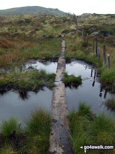 Walk gw185 Gwaun y Llwyni, Aran Fawddwy, Erw y Ddafad-ddu, Aran Benllyn and Pen yr Allt Uchaf from Cwm Cywarch - More (very welcome) duckboards between Waun Camddwr and Gwaun y Llwyni