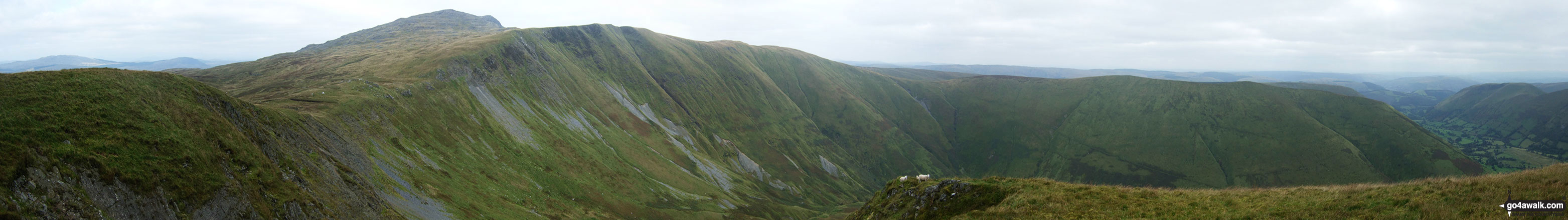 Walk gw185 Gwaun y Llwyni, Aran Fawddwy, Erw y Ddafad-ddu, Aran Benllyn and Pen yr Allt Uchaf from Cwm Cywarch - Panorama featuring Aran Fawddwy,  Drws Bach, Drysgol, Gwaun Lydan, Waun Goch and Pen yr Allt Uchaf from the summit of Gwaun y Llwyni