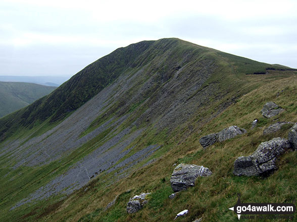 Gwaun y Llwyni from the north