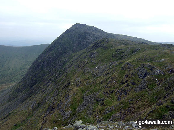 Aran Fawddwy from Erw y Ddafad-ddu