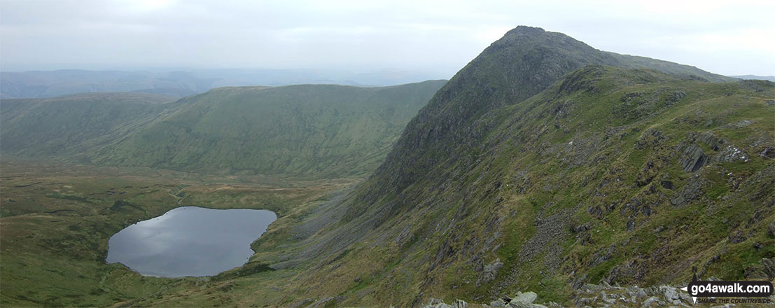 Walk gw185 Gwaun y Llwyni, Aran Fawddwy, Erw y Ddafad-ddu, Aran Benllyn and Pen yr Allt Uchaf from Cwm Cywarch - Creiglyn Dyfi and Aran Fawddwy from Erw y Ddafad-ddu