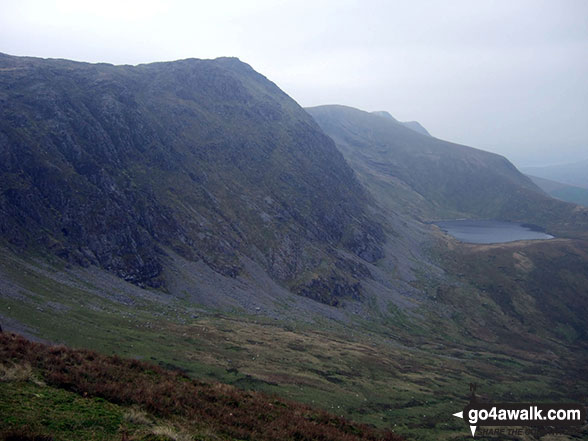 Aran Fawddwy and Erw y Ddafad-ddu from Drysgol (Aran Fawddwy)