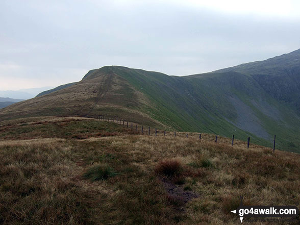 Walk gw185 Gwaun y Llwyni, Aran Fawddwy, Erw y Ddafad-ddu, Aran Benllyn and Pen yr Allt Uchaf from Cwm Cywarch - The unmarked grassy summit of Drysgol (Aran Fawddwy) with Drws Bach (centre left) and the upper lopes of Aran Fawddwy (right) in the distance