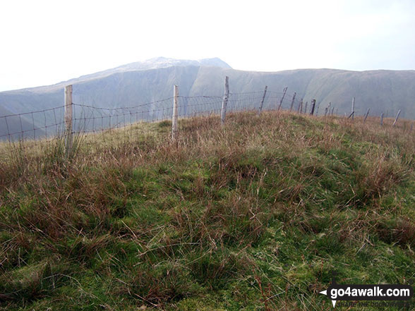 Walk gw185 Gwaun y Llwyni, Aran Fawddwy, Erw y Ddafad-ddu, Aran Benllyn and Pen yr Allt Uchaf from Cwm Cywarch - The unmarked summit of Pen Yr Allt Uchaf