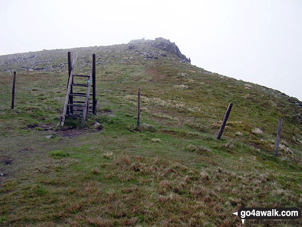 Ladder stile giving access to Moel Sych