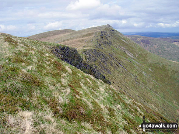 Walk po109 Foel Wen and Cadair Berwyn from Tyn-y-fridd - Cadair Berwyn (North Top) & Cadair Berwyn from Moel Sych