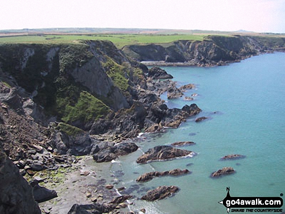 Walk pe119 Pen Dal-aderyn from Porthstinian - The Pembrokeshire Coast Path