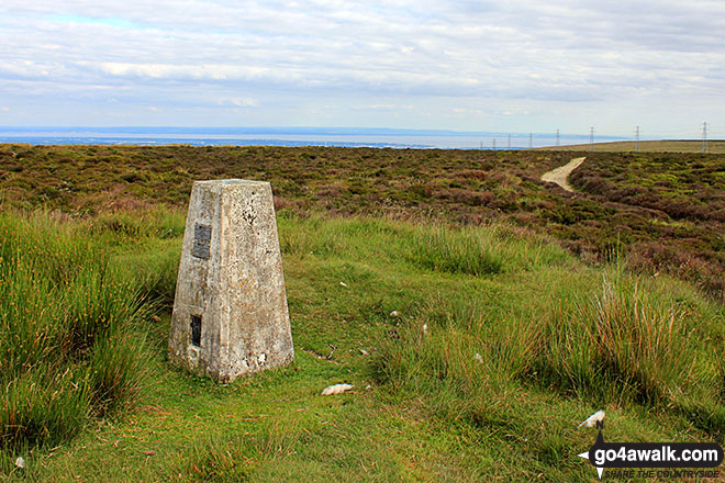 Mynydd Twyn-glas (Mynydd Maen) summit trig point 