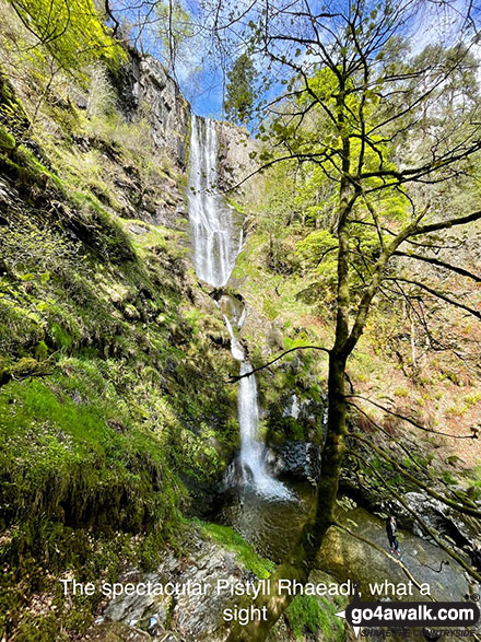 Walk po142 Cadair Berwyn from Pistyll Rhaeadr - The spectacular Pistyll Rhaeadr, what a sight!