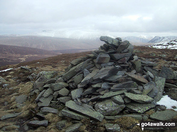 Walk c321 Skiddaw and Lonscale Fell from Millbeck, nr Keswick - Bakestall summit cairn