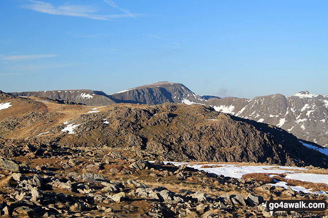 Walk c247 The Fairfield Horseshoe from Ambleside - Helvellyn (centre) from Hart Crag