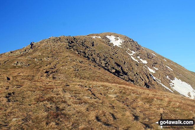 Walk c389 Great Rigg, Fairfield and Hart Crag from Ambleside - Great Rigg from Rydal Fell on The Fairfield Horeshoe