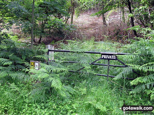 The entrance to the woods below Swinside (Portinscale) Swinside is on private land and not accessible to the public