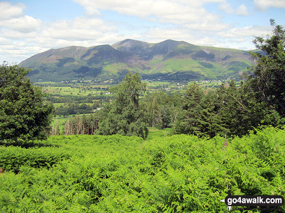 The view north from the summit of Swinside (Portinscale) featuring Skiddaw and Blencathra Swinside is on private land and not accessible to the public