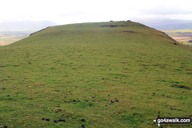 Caermote Hill from St. John's Hill (Caermote Hill) 