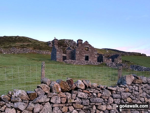 The ruin at Hafotty-fach 