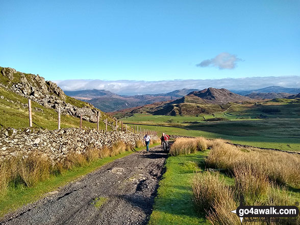 Looking east down the track from Craigmerwydd towards Foel Offrwm