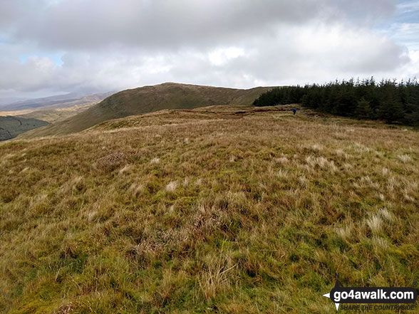 Walk gw167 Waun-oer, Cribin Fawr and Maesglase from Bryn Coedwig, Aberllefenni - The grassy summit of Mynydd Ceiswyn with Waun-oer in the background