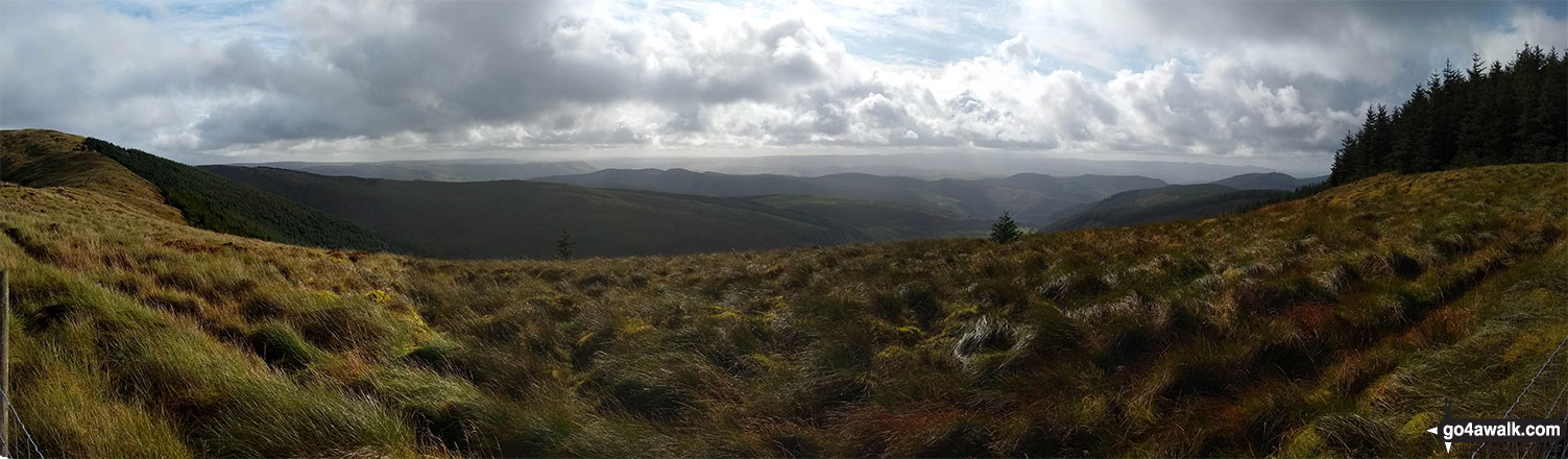 Walk gw113 Waun-oer and Cribin Fawr from Bryn Coedwig, Aberllefenni - Looking south from Mynydd Ceiswyn